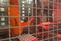 Ried_PC Electric-012.jpg